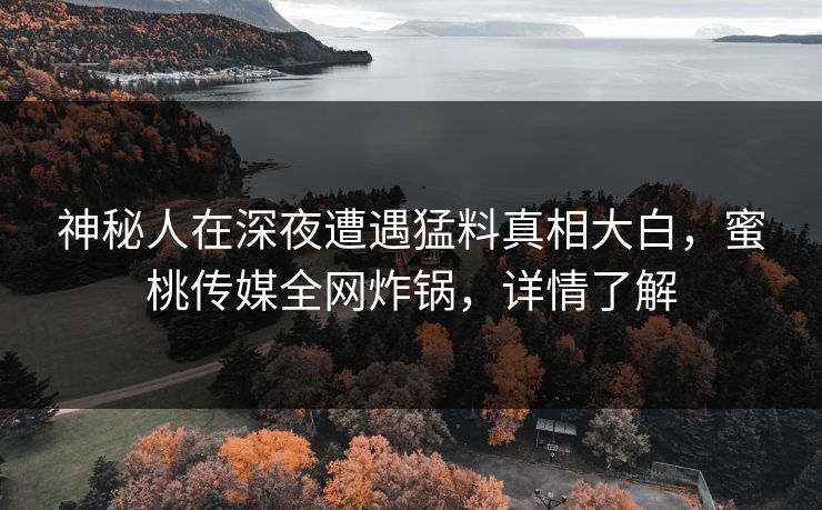 神秘人在深夜遭遇猛料真相大白，蜜桃传媒全网炸锅，详情了解