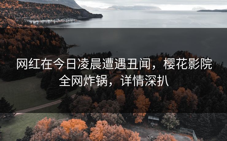 网红在今日凌晨遭遇丑闻,樱花影院全网炸锅,详情深扒 网红在今日凌晨遭遇丑闻,樱花影院全网炸锅,详情深扒