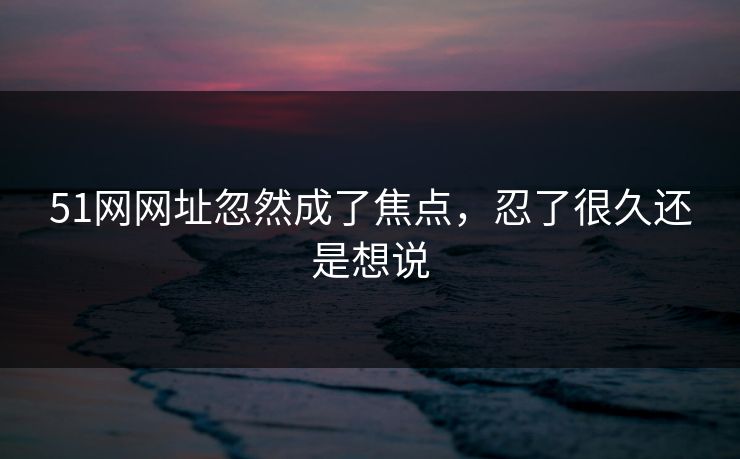 51网网址忽然成了焦点，忍了很久还是想说